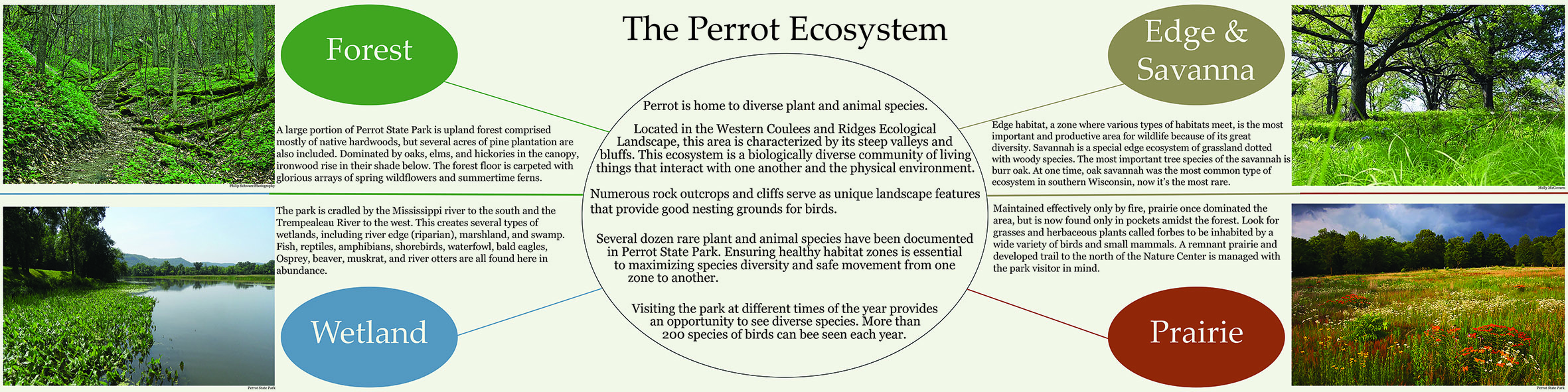 The Perrot Ecosystem